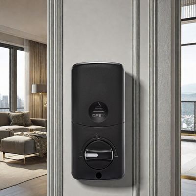 Управляйте своим домом с помощью клавиатуры Bluetooth Outdoor Smart Lock и WiFi Connectivity