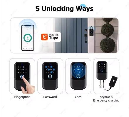 Домашний Отель Офис WiFi подключенный Smart Lock Tuya Network Электронный пароль Коробка Металлические ворота Стекло IP65 водонепроницаемость
