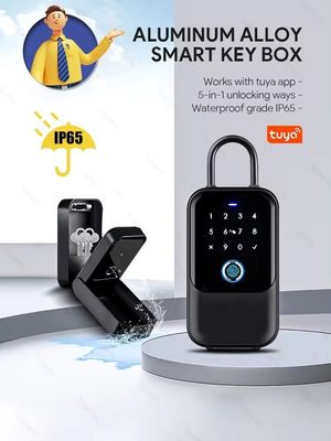 Домашний Отель Офис WiFi подключенный Smart Lock Tuya Network Электронный пароль Коробка Металлические ворота Стекло IP65 водонепроницаемость