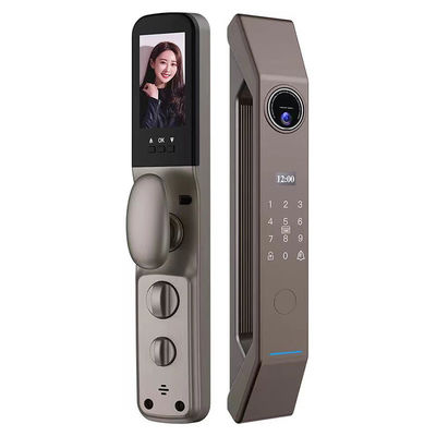 Tech Style Steel Door Smart WiFi Doorlock с паролем пальца и управлением APP