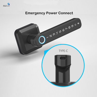 Тип-С питание WiFi Bluetooth Smart Home Lock с отпечатками пальцев Безопасность без ключа
