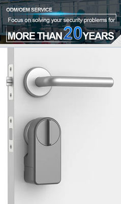 Дверная дверь с цифровой клавиатурой Ttlock Smart Home Handle Door Lock Долговечный срок службы батареи