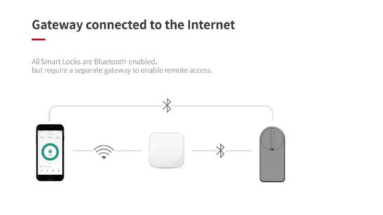 Внедрение серого Wifi Smart Gate Lock для хранилища памяти Tuya Wooden Doors