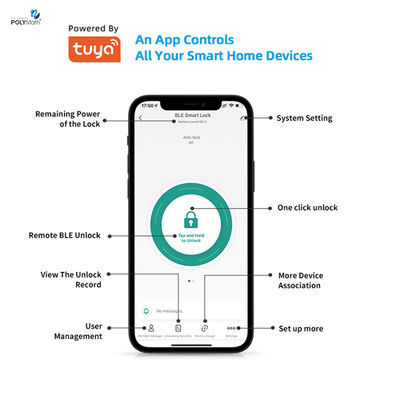 Стальные двери цифровые Tuya App Карты пароль Умный цилиндровый замок с хранилищем карт памяти