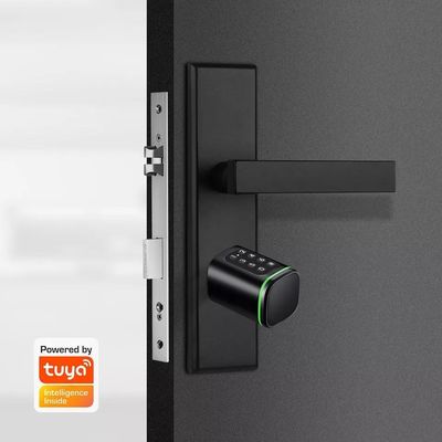 Толщина двери 35-45 мм Tuya App Unlock Smart Digital Electronic Cylindrical Door Lock (Умный цифровой электронный цилиндрический дверной замок)