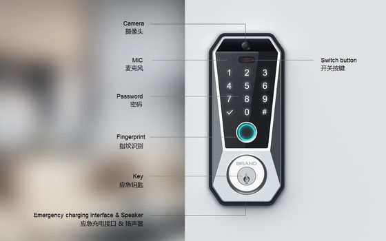 Tuya WIFI Digital Smart Door Lock с хранилищем данных на карте памяти и доступом к отпечаткам пальцев