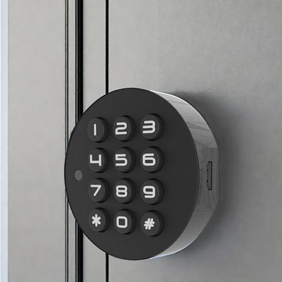 Blue Tooth Network мини-отпечатки пальцев шкафы для гостиной для деревянных дверей прямой поставки