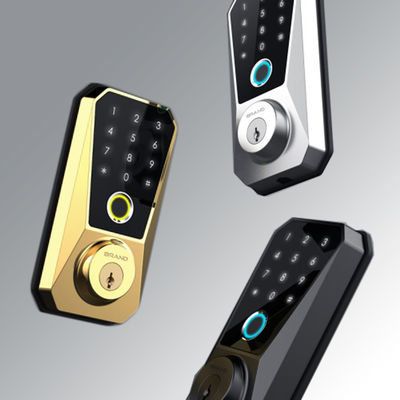 Удобный и безопасный PL816 Plus Tuya App Smart Wood Door Lock с подключением WiFi