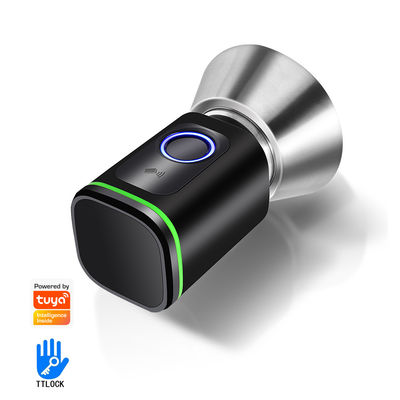 Защитите свой дом с помощью TUYA WiFi BLE Smart Bedroom Door Lock Cylinder и карты памяти