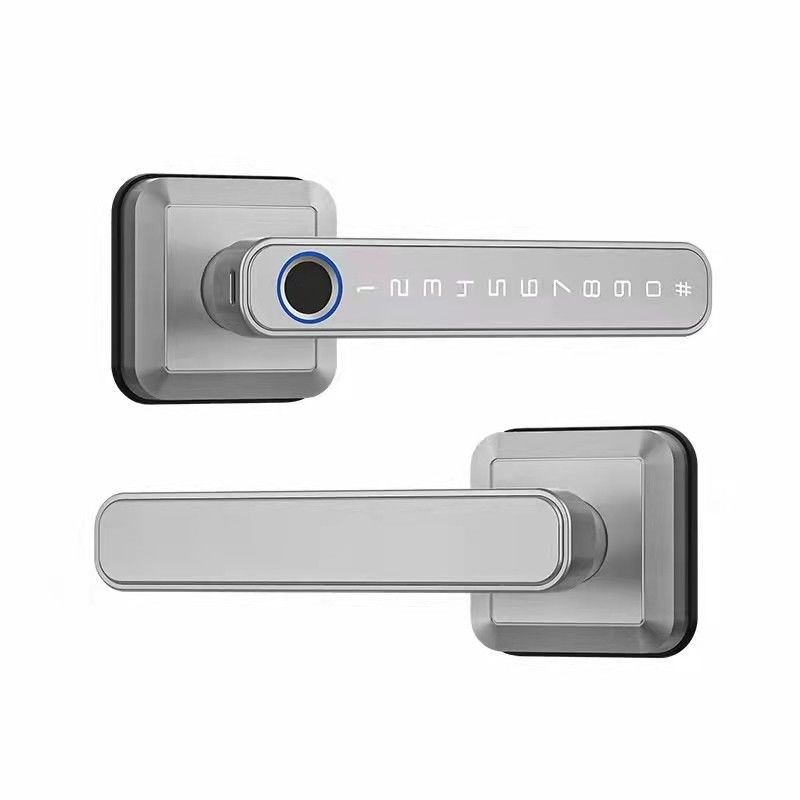 Тип-С питание WiFi Bluetooth Smart Home Lock с отпечатками пальцев Безопасность без ключа